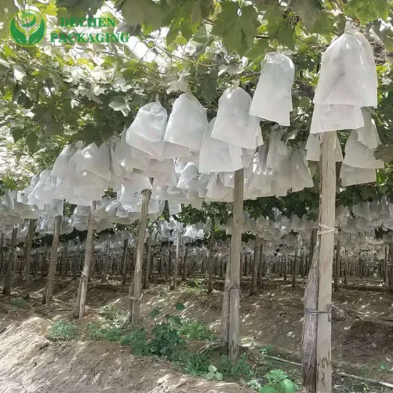Bolsa de protección especial para control de plagas de frutas, bolsas de cultivo de plantas resistentes a los rayos UV para uvas al aire libre para Mango